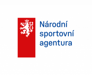 Logo NSA